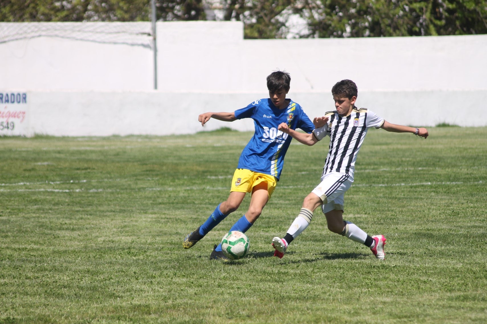 Fotos: I Trofeo Ibérico ‘Villa de Valverde’ (II)