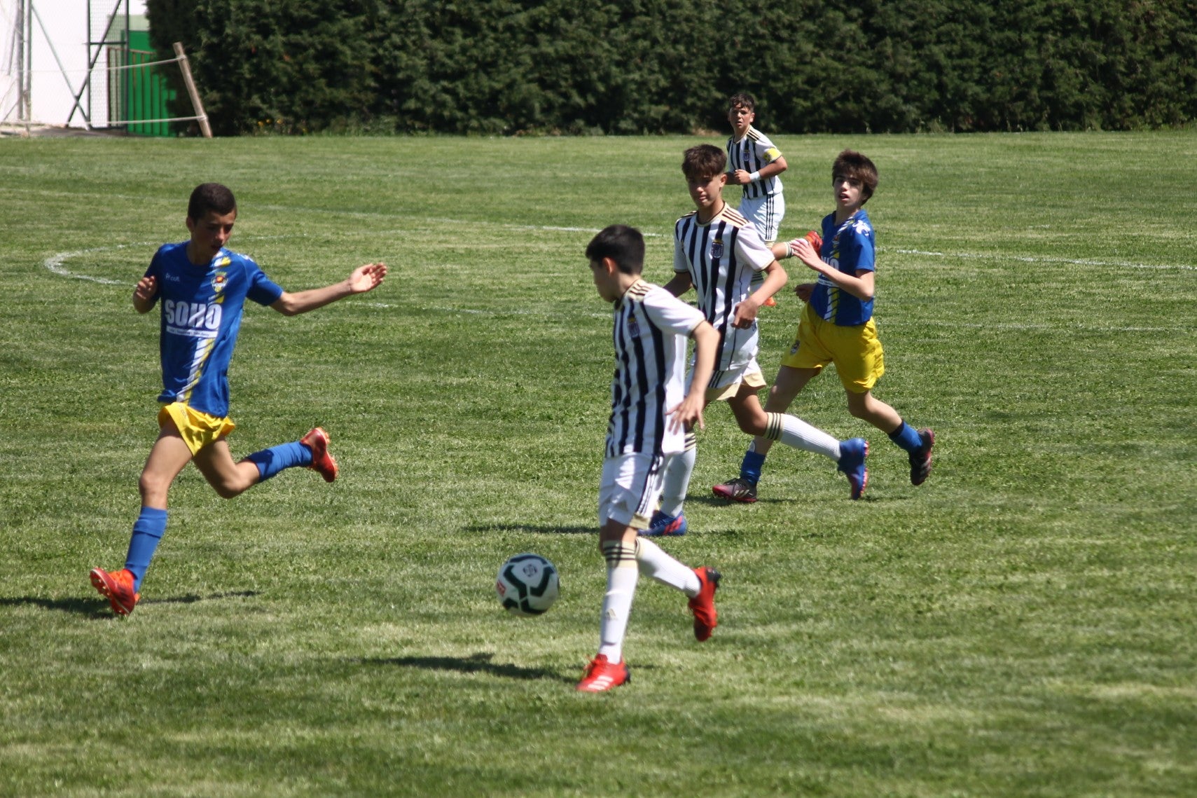 Fotos: I Trofeo Ibérico ‘Villa de Valverde’ (II)