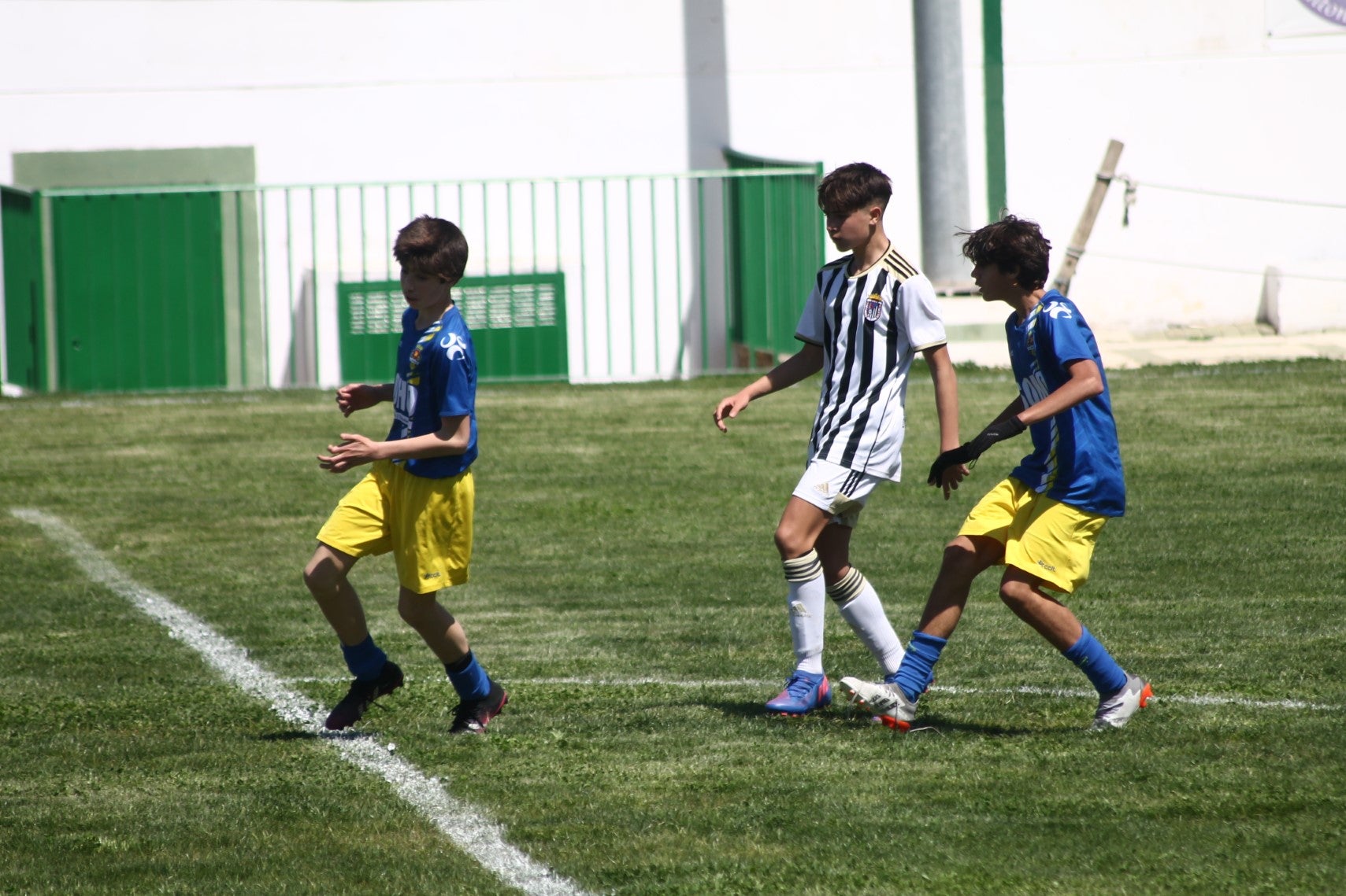 Fotos: I Trofeo Ibérico ‘Villa de Valverde’ (II)