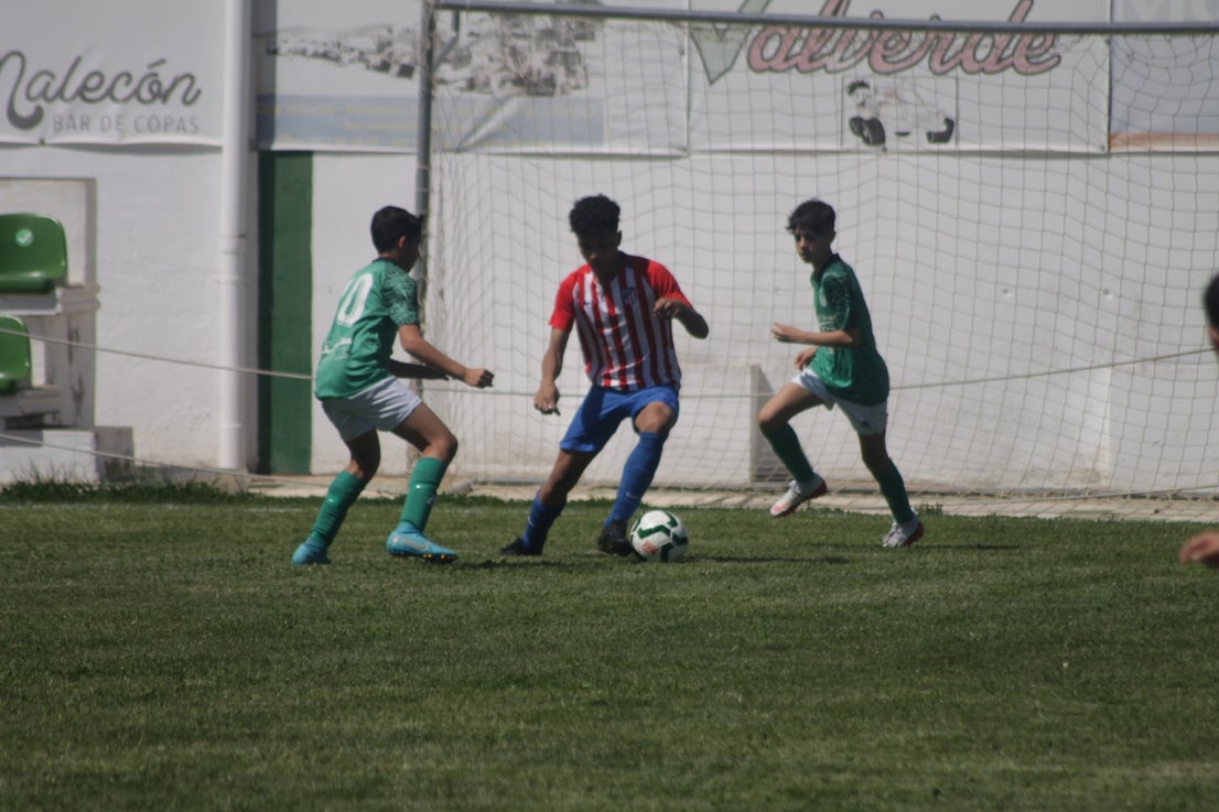 Fotos: I Trofeo Ibérico ‘Villa de Valverde’ (III)