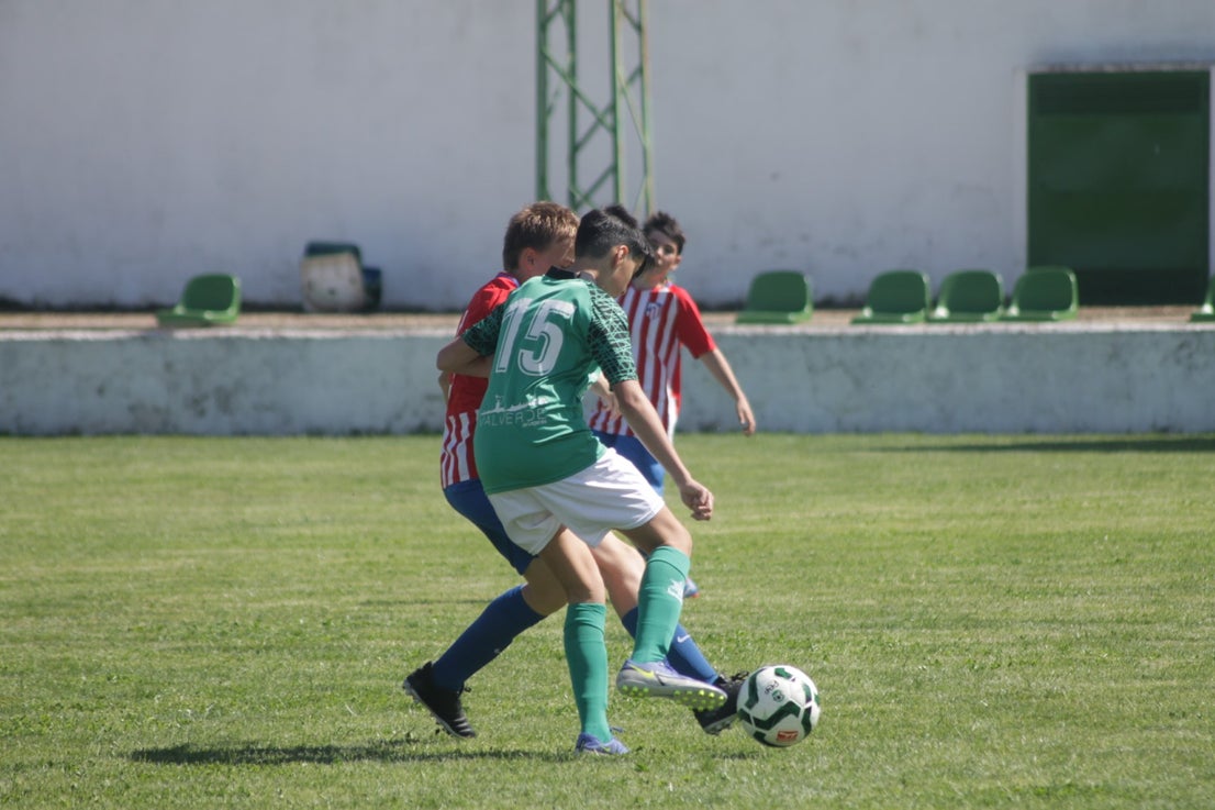 Fotos: I Trofeo Ibérico ‘Villa de Valverde’ (III)