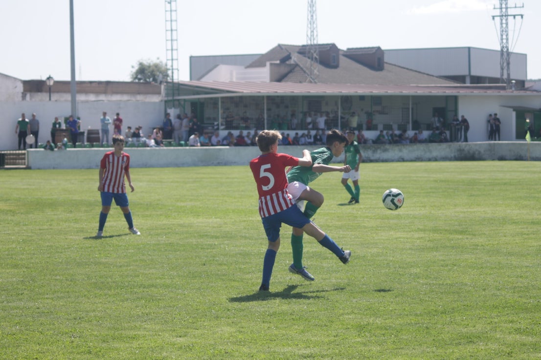 Fotos: I Trofeo Ibérico ‘Villa de Valverde’ (III)