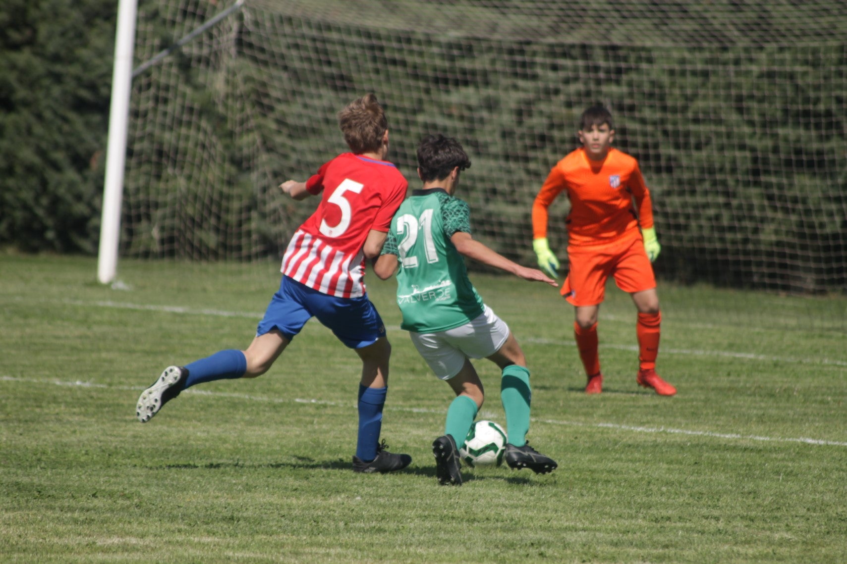 Fotos: I Trofeo Ibérico ‘Villa de Valverde’ (IV)