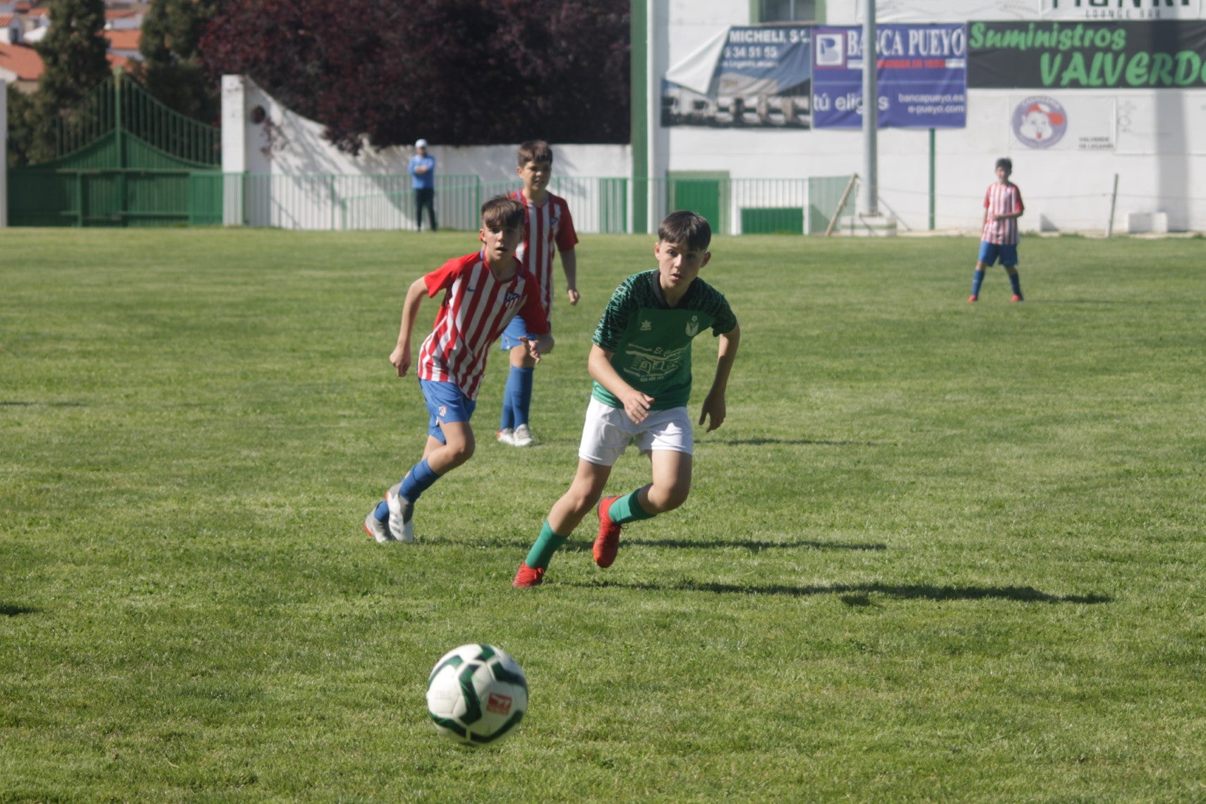 Fotos: I Trofeo Ibérico ‘Villa de Valverde’ (IV)