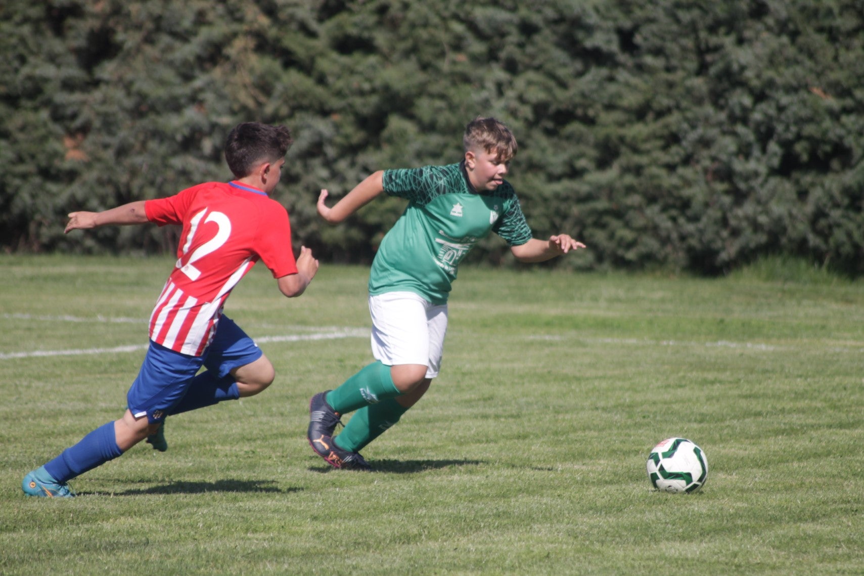 Fotos: I Trofeo Ibérico ‘Villa de Valverde’ (IV)