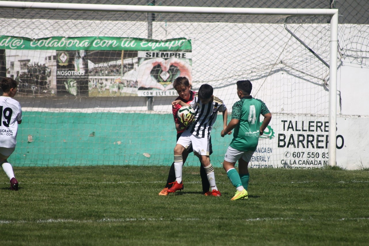 Fotos: I Trofeo Ibérico ‘Villa de Valverde’ (V)