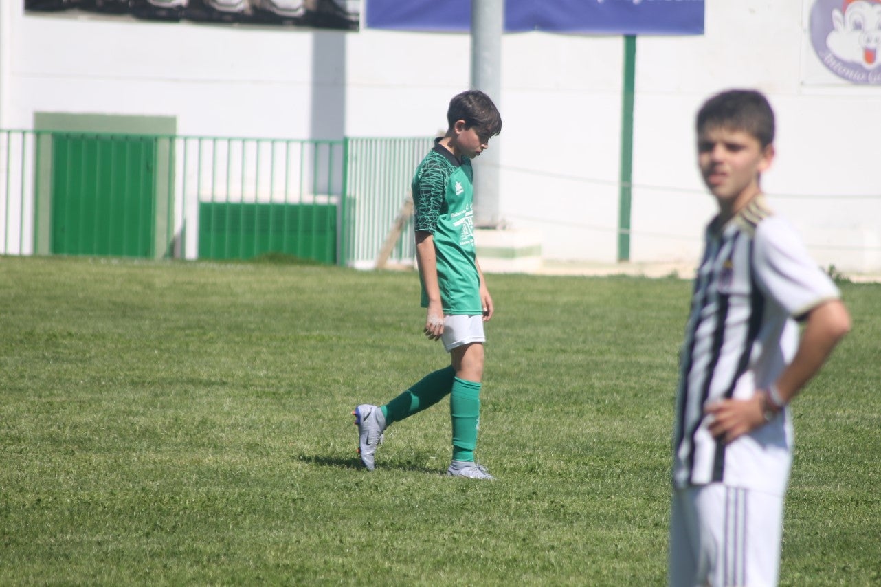 Fotos: I Trofeo Ibérico ‘Villa de Valverde’ (V)