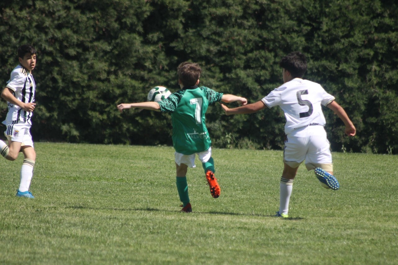 Fotos: I Trofeo Ibérico ‘Villa de Valverde’ (V)