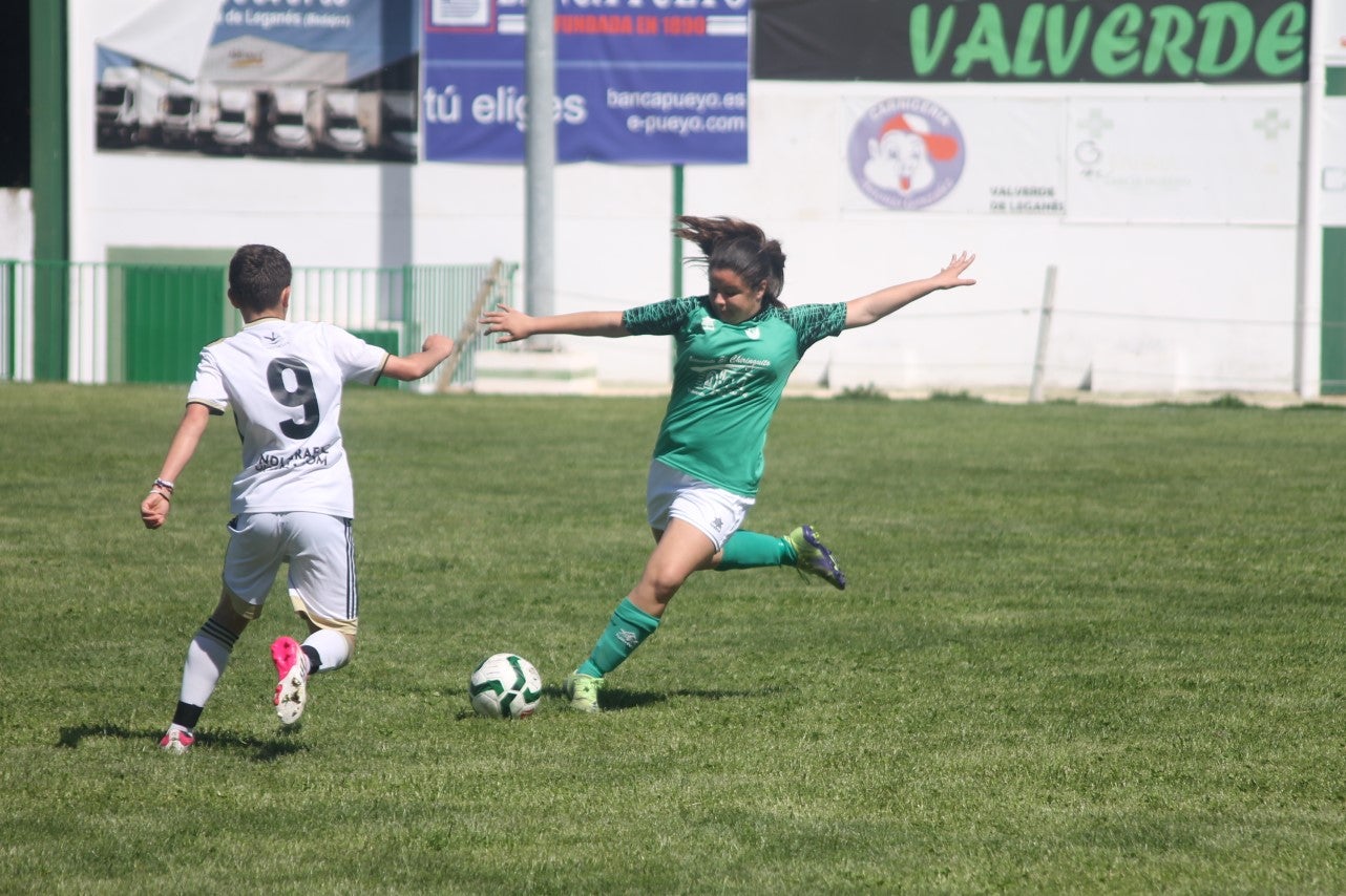 Fotos: I Trofeo Ibérico ‘Villa de Valverde’ (V)