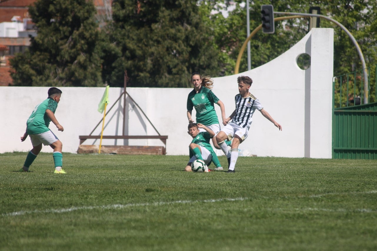 Fotos: I Trofeo Ibérico ‘Villa de Valverde’ (VI)