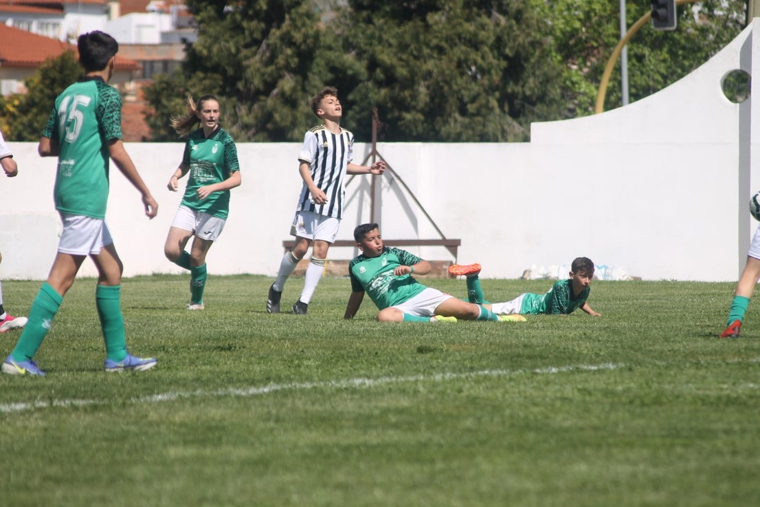 Fotos: I Trofeo Ibérico ‘Villa de Valverde’ (VI)