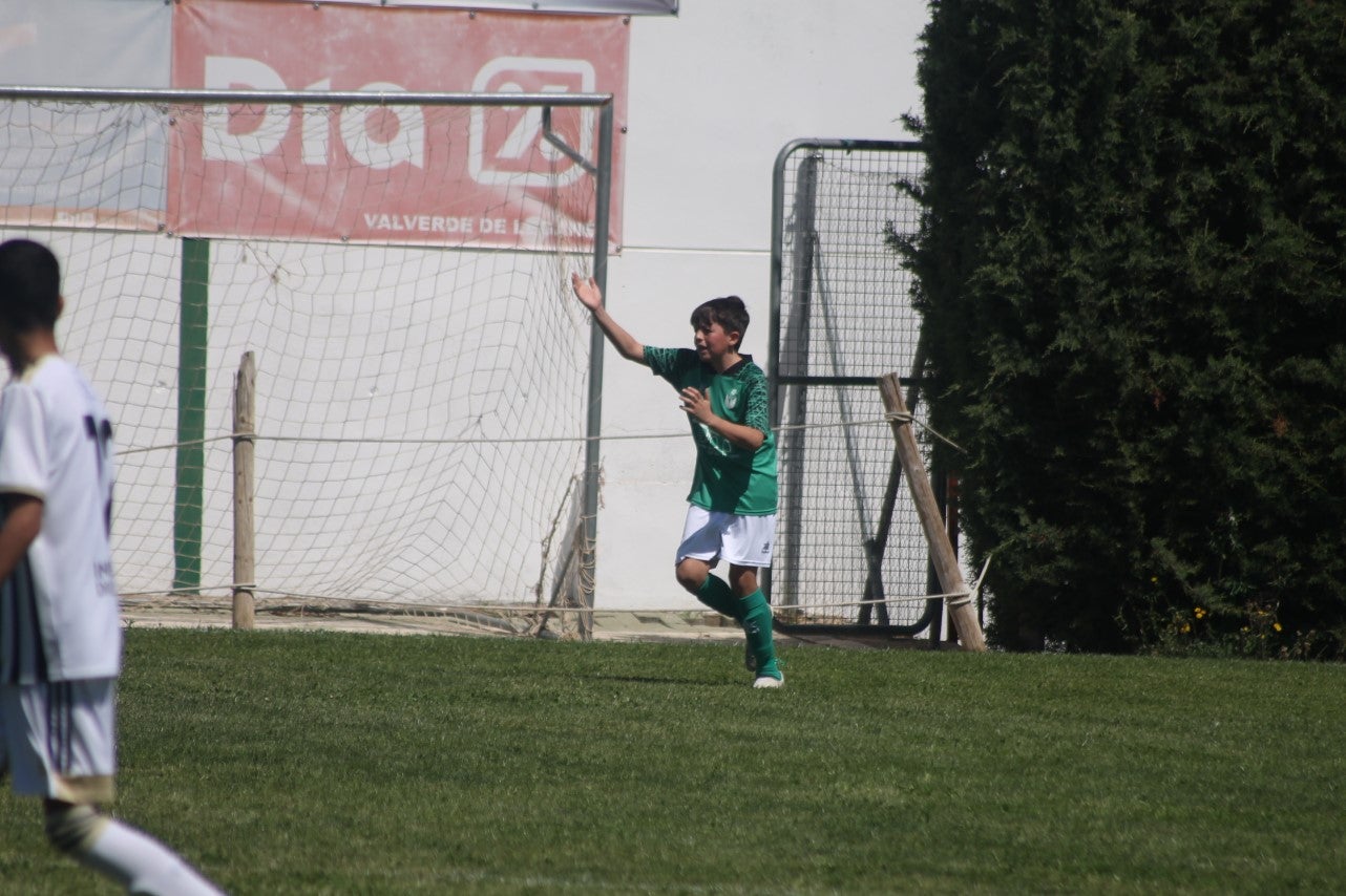 Fotos: I Trofeo Ibérico ‘Villa de Valverde’ (VI)