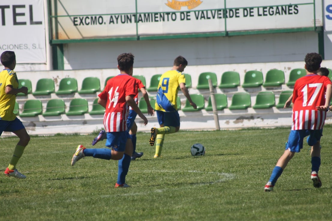 Fotos: I Trofeo Ibérico ‘Villa de Valverde’ (VII)