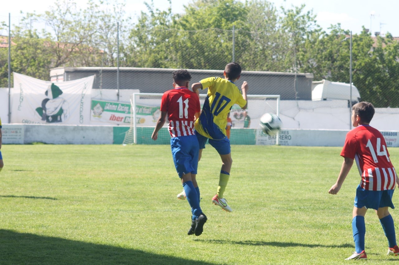 Fotos: I Trofeo Ibérico ‘Villa de Valverde’ (VII)