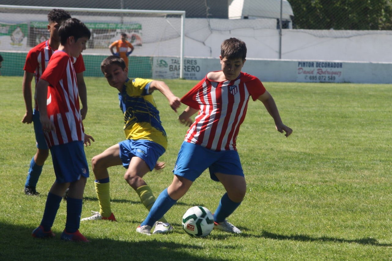 Fotos: I Trofeo Ibérico ‘Villa de Valverde’ (VII)