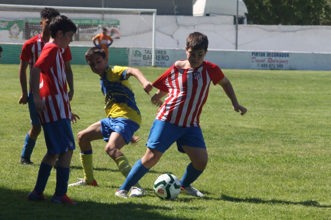 Fotos: I Trofeo Ibérico ‘Villa de Valverde’ (VII)