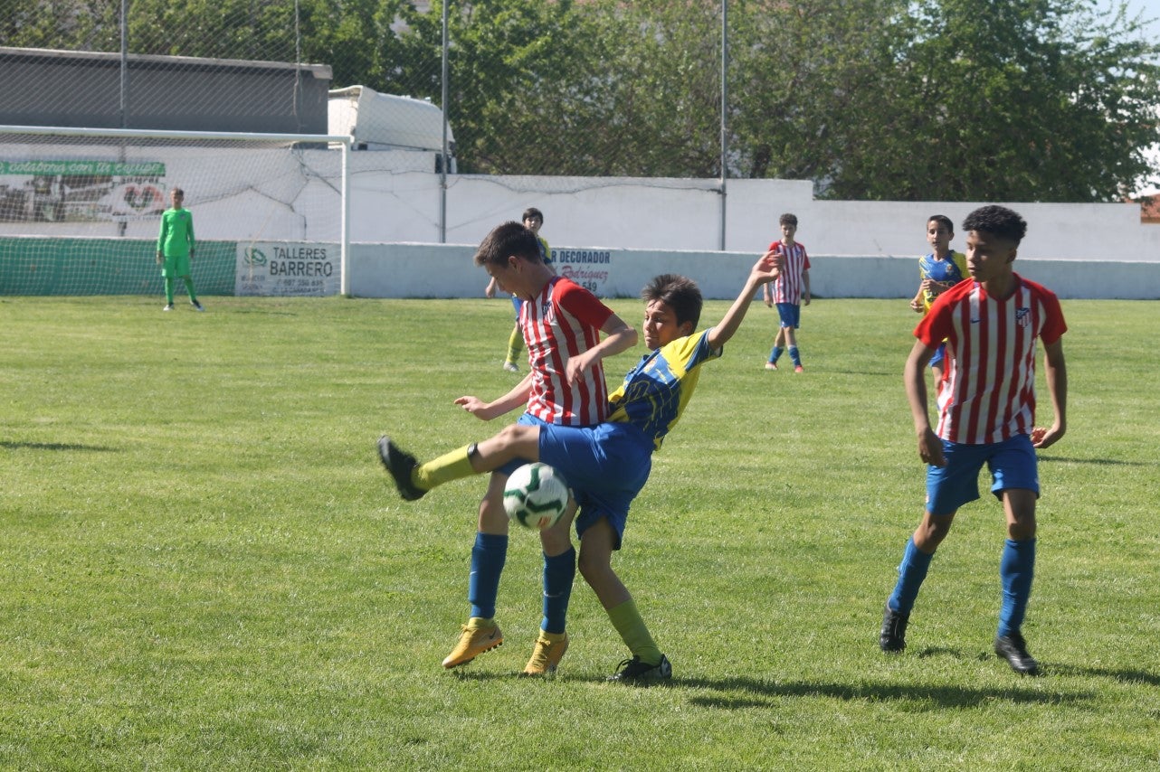 Fotos: I Trofeo Ibérico ‘Villa de Valverde’ (VIII)