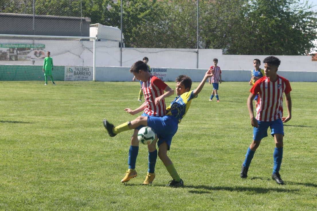 Fotos: I Trofeo Ibérico ‘Villa de Valverde’ (VIII)