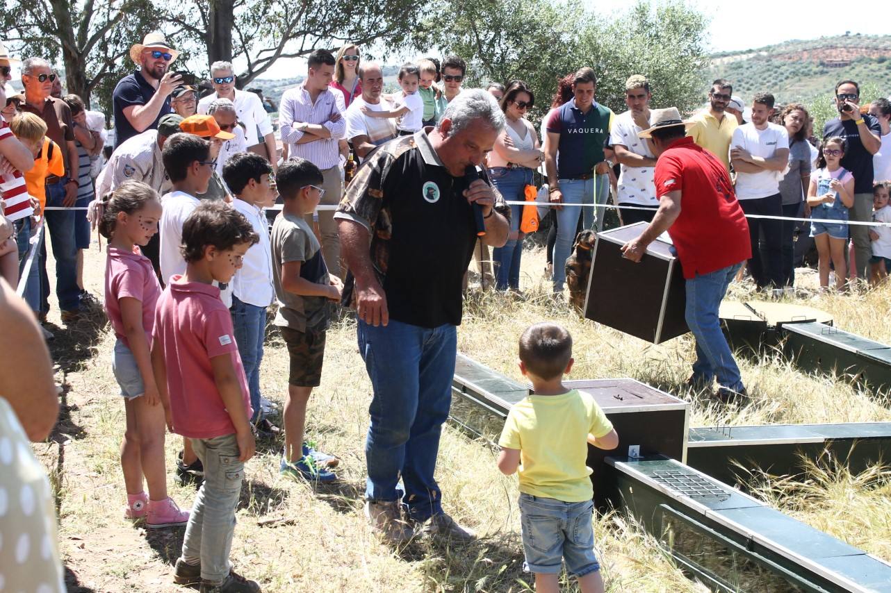 Fotos: VII Día del Cazador