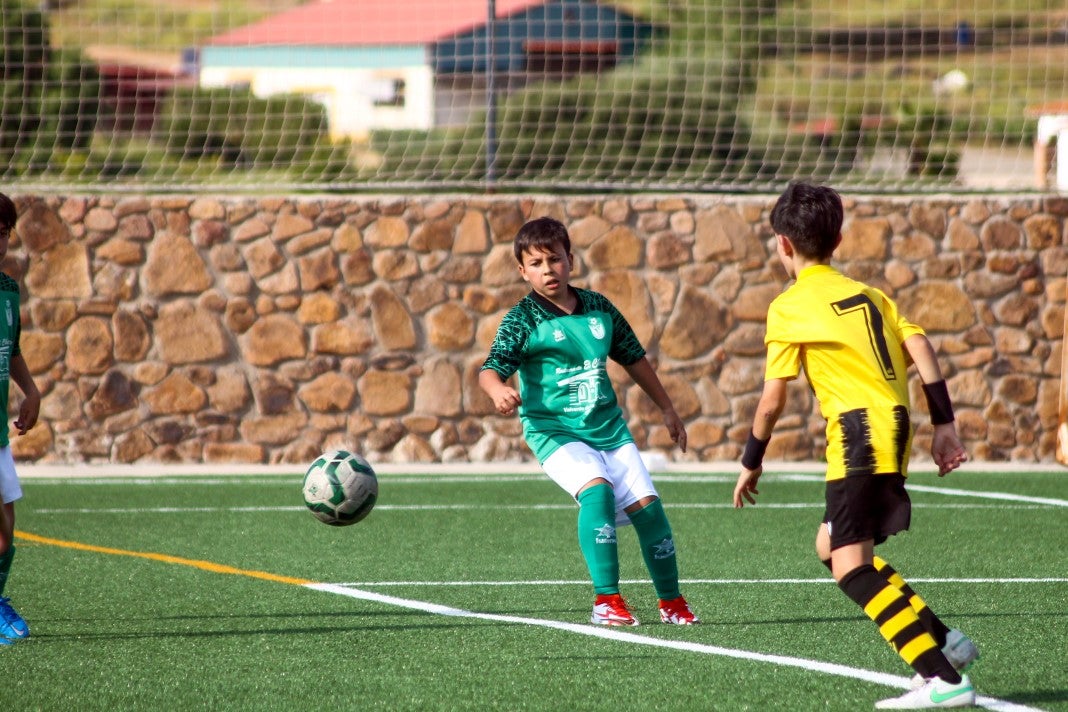 Fotos: Alevines A EMD Valverde - Escuela Guadalupe