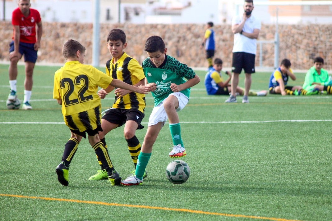 Fotos: Alevines A EMD Valverde - Escuela Guadalupe