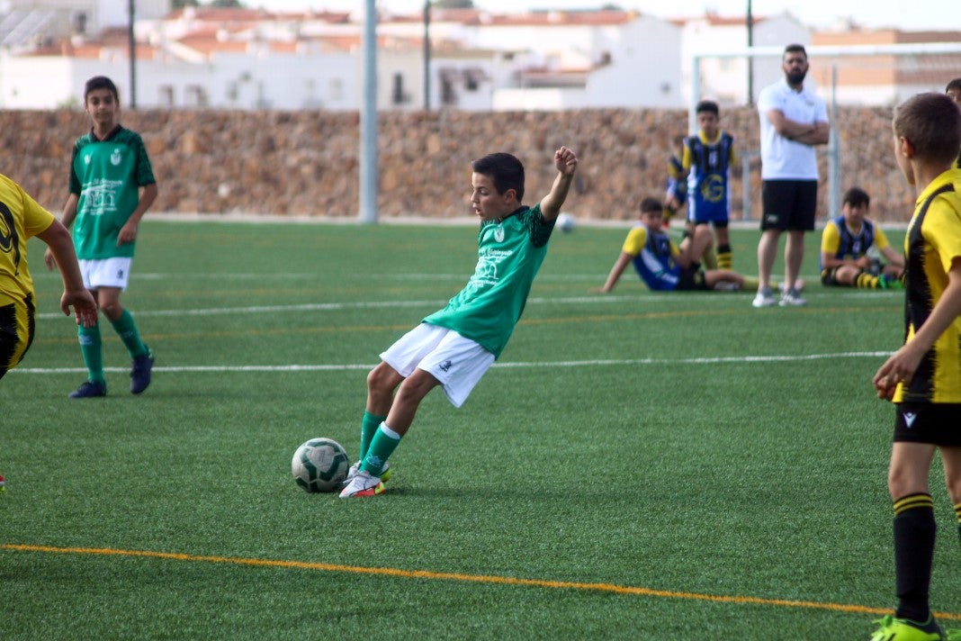 Fotos: Alevines A EMD Valverde - Escuela Guadalupe