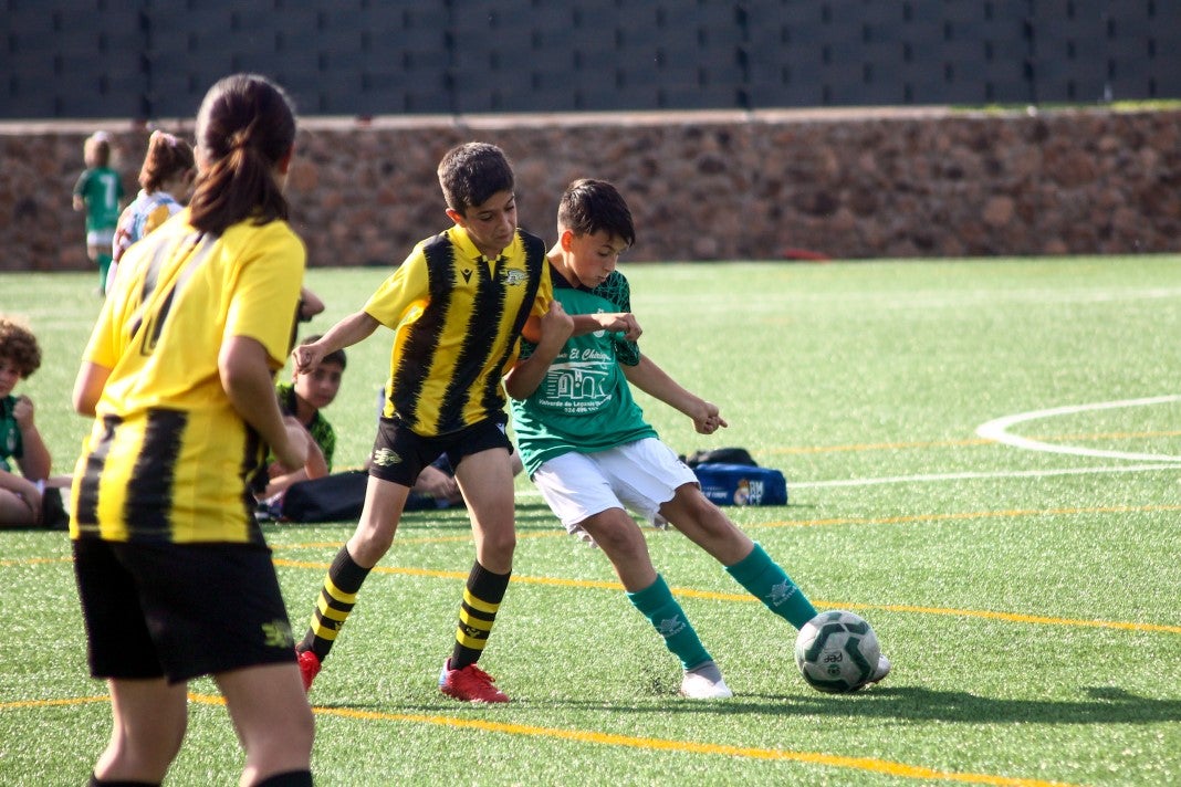 Fotos: Alevines A EMD Valverde - Escuela Guadalupe