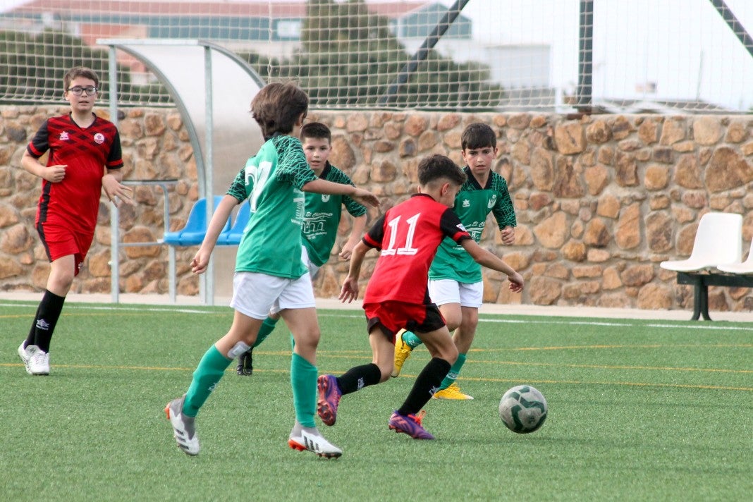 Fotos: Alevines B EMD Valverde – AD Hispanolusa