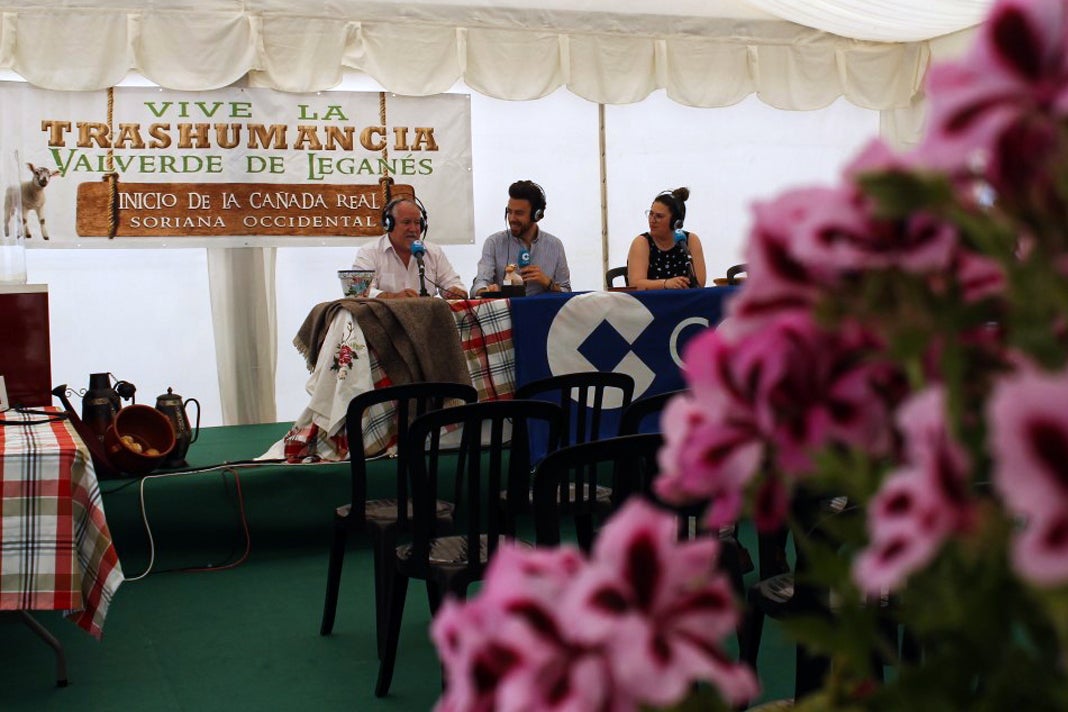Fotos: XI Vive la Trashumancia y III Feria del Queso Artesano (I)