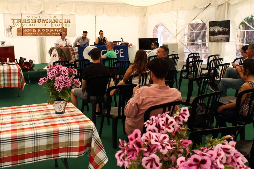 Fotos: XI Vive la Trashumancia y III Feria del Queso Artesano (I)