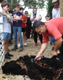 Imagen secundaria 2 - Subasta de ganado, concierto de Inma Vilchez y demostración de esquila