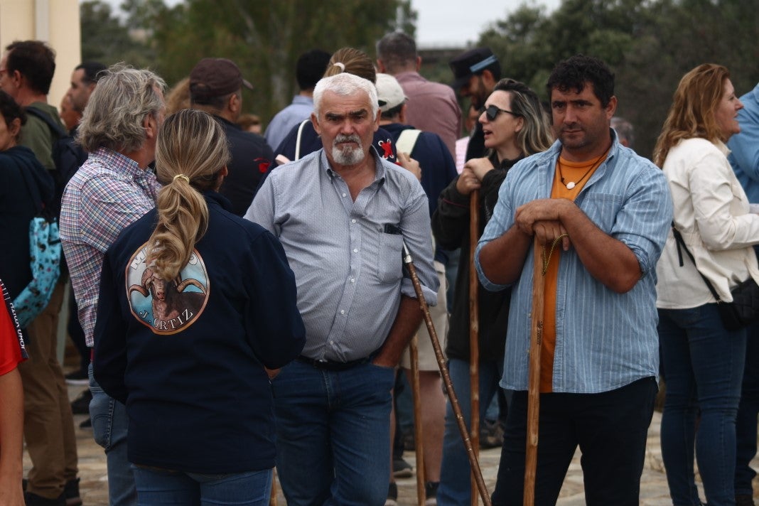 Fotos: XI 'Vive la Trashumancia' y III 'Feria del Queso Artesano' (IV)