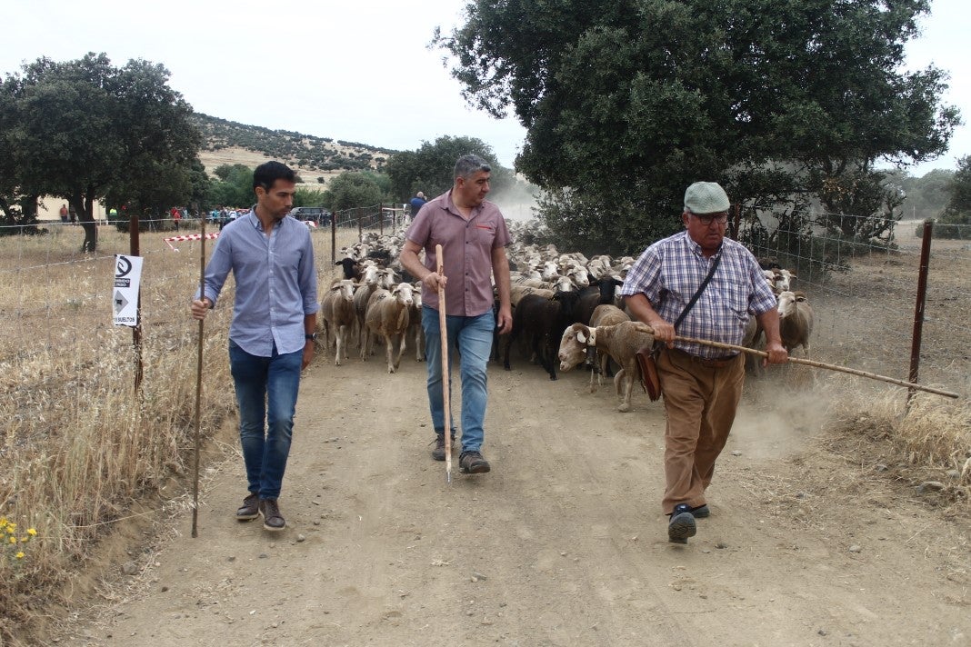 Fotos: XI 'Vive la Trashumancia' y III 'Feria del Queso Artesano' (IV)