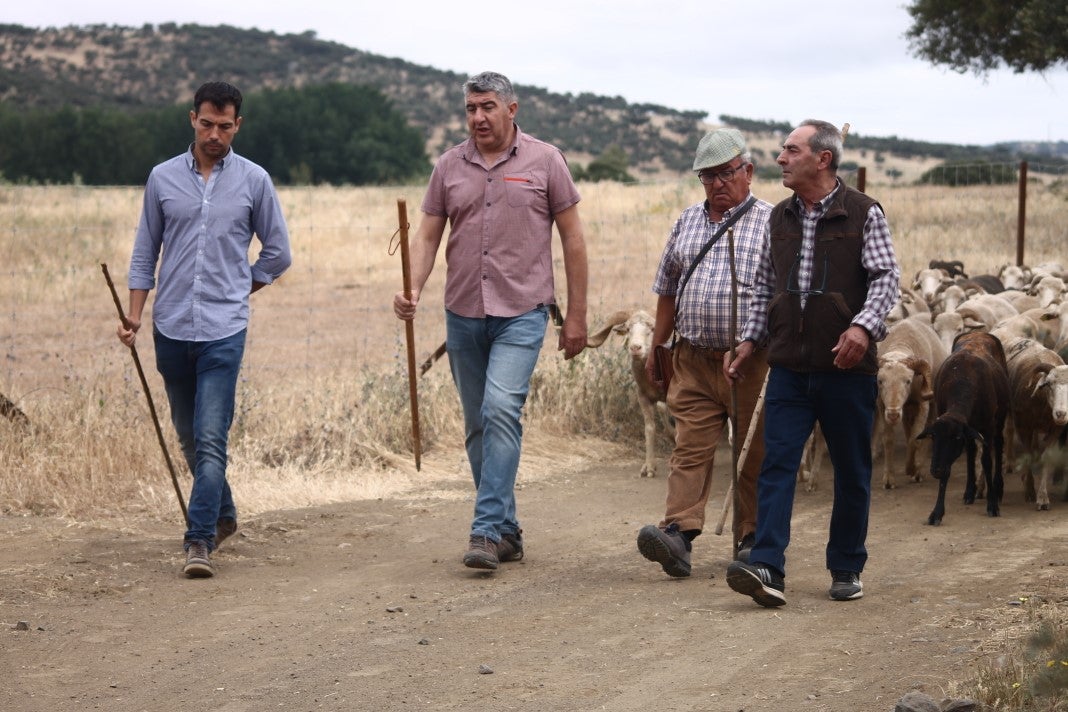 Fotos: XI 'Vive la Trashumancia' y III 'Feria del Queso Artesano' (IV)