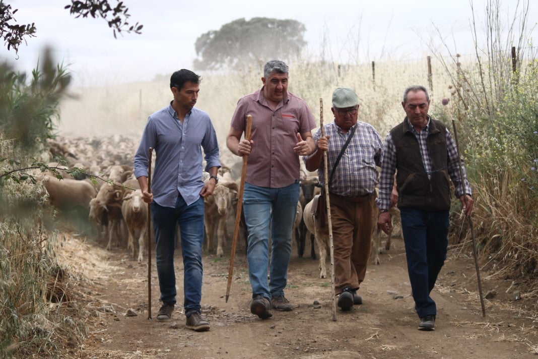 Fotos: XI 'Vive la Trashumancia' y III 'Feria del Queso Artesano' (IV)