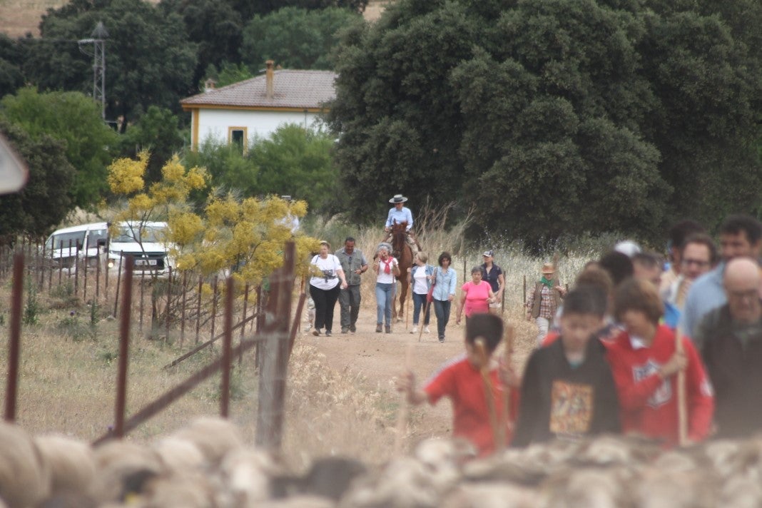 Fotos: XI 'Vive la Trashumancia' y III 'Feria del Queso Artesano' (IV)