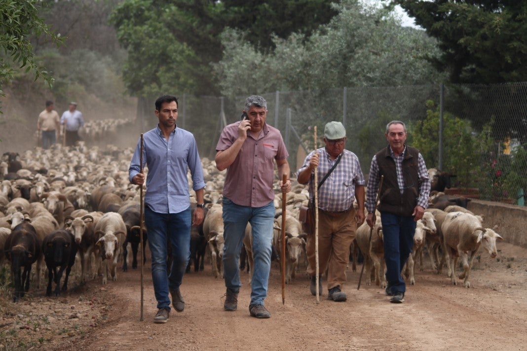 Fotos: XI 'Vive la Trashumancia' y III 'Feria del Queso Artesano' (IV)