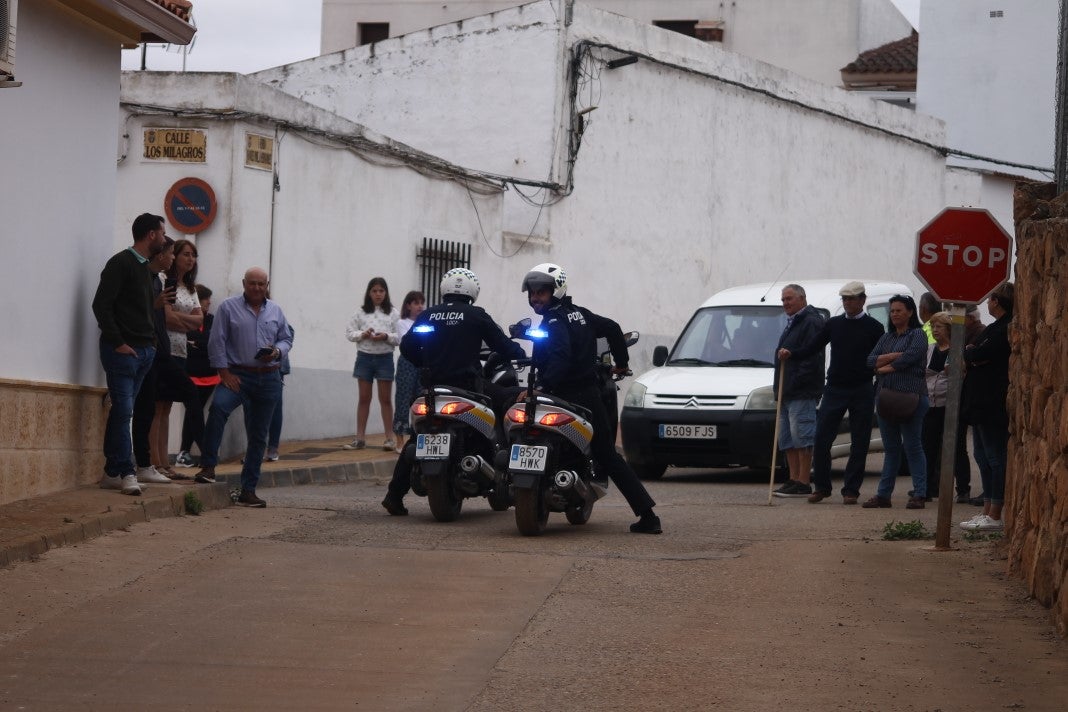 Fotos: XI 'Vive la Trashumancia' y III 'Feria del Queso Artesano' (IV)