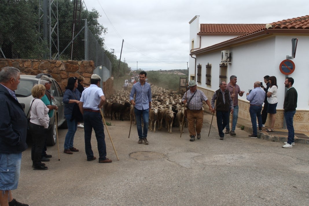 Fotos: XI 'Vive la Trashumancia' y III 'Feria del Queso Artesano' (IV)