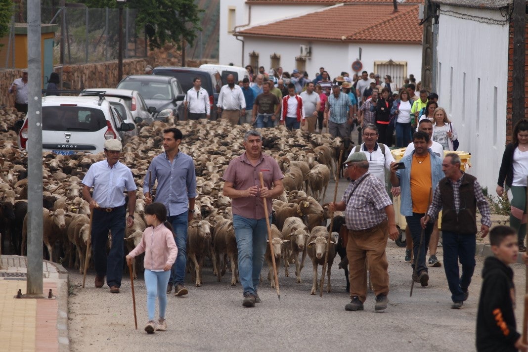 Fotos: XI 'Vive la Trashumancia' y III 'Feria del Queso Artesano' (IV)