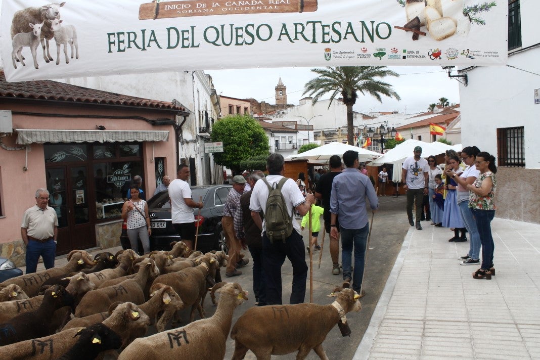 Fotos: XI 'Vive la Trashumancia' y III 'Feria del Queso Artesano' (IV)