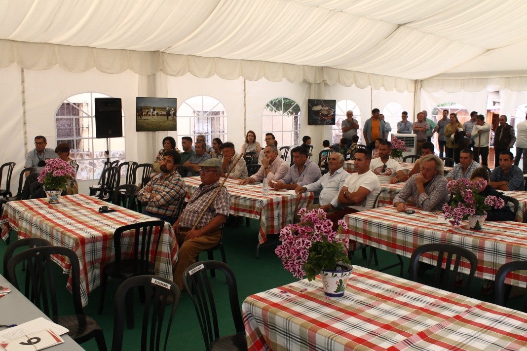 Fotos: XI 'Vive la Trashumancia' y III 'Feria del Queso Artesano' (V)