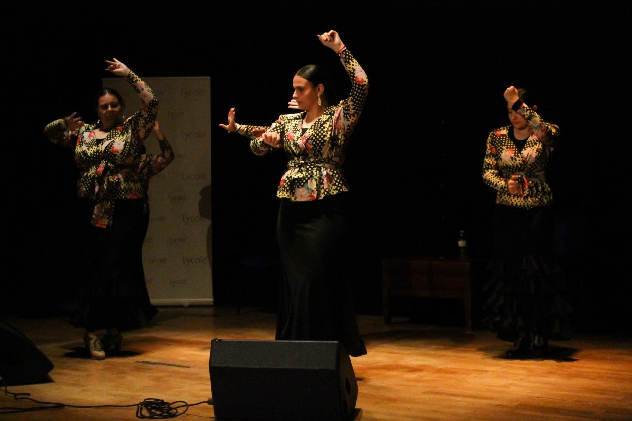 Fotos: Festival Flamenco Valverde de Leganés