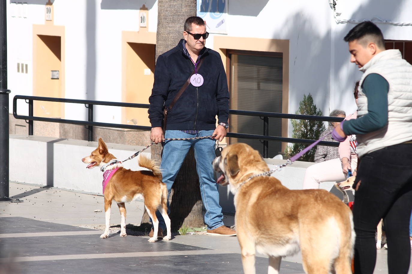 Fotos: III Desfile Canino