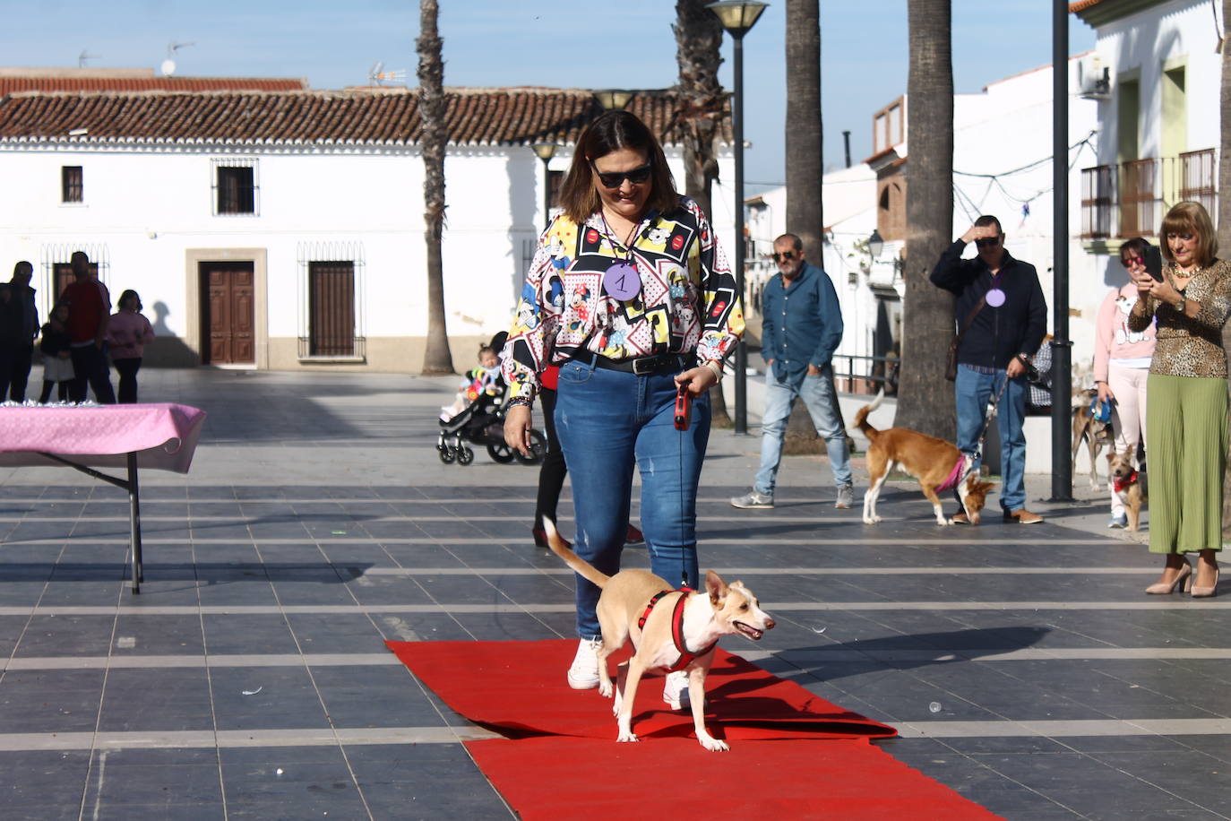 Fotos: III Desfile Canino