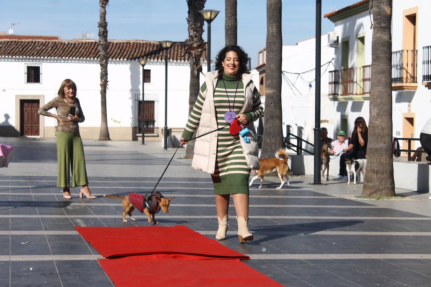 Fotos: III Desfile Canino