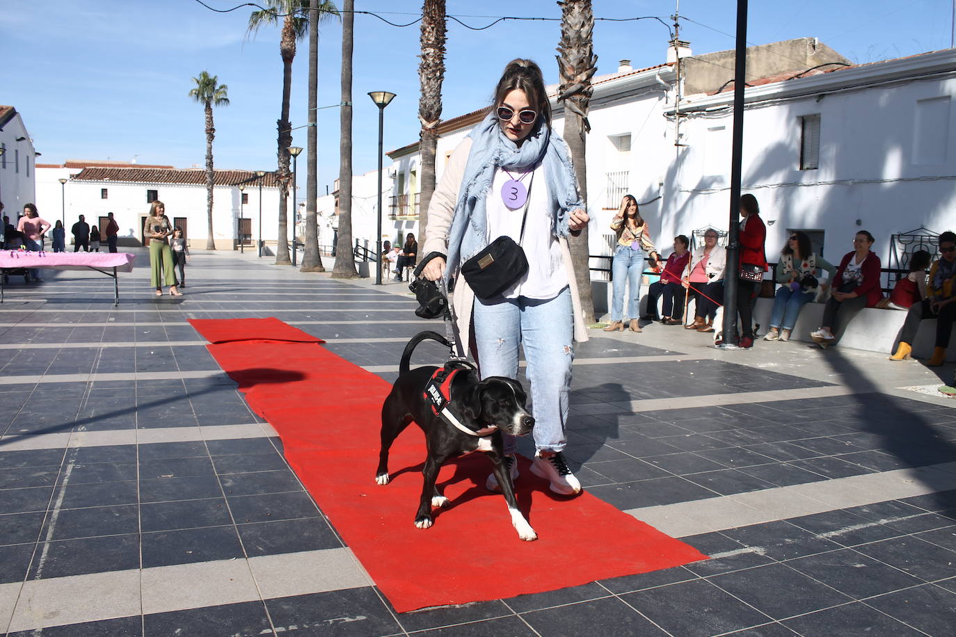Fotos: III Desfile Canino