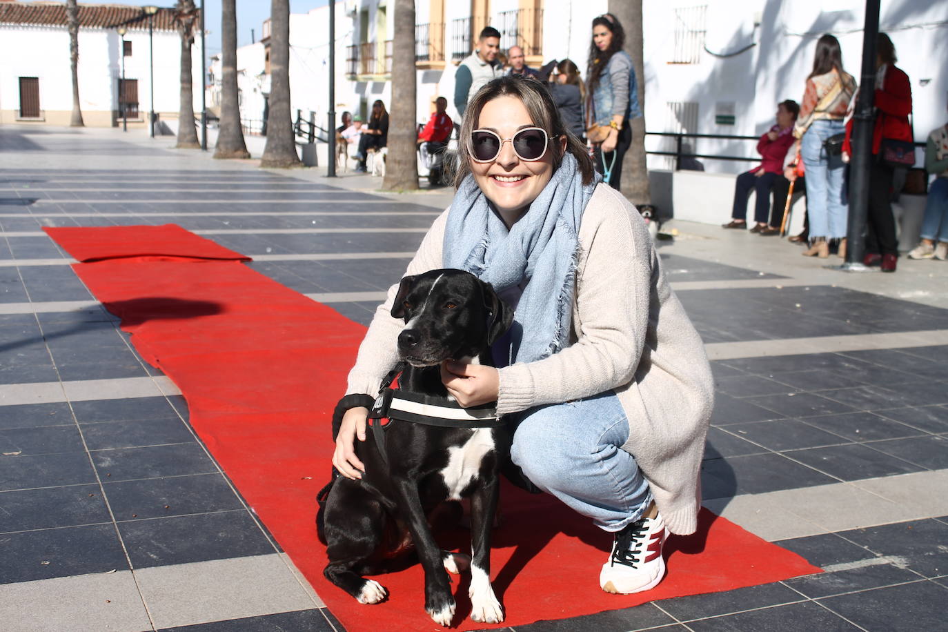 Fotos: III Desfile Canino