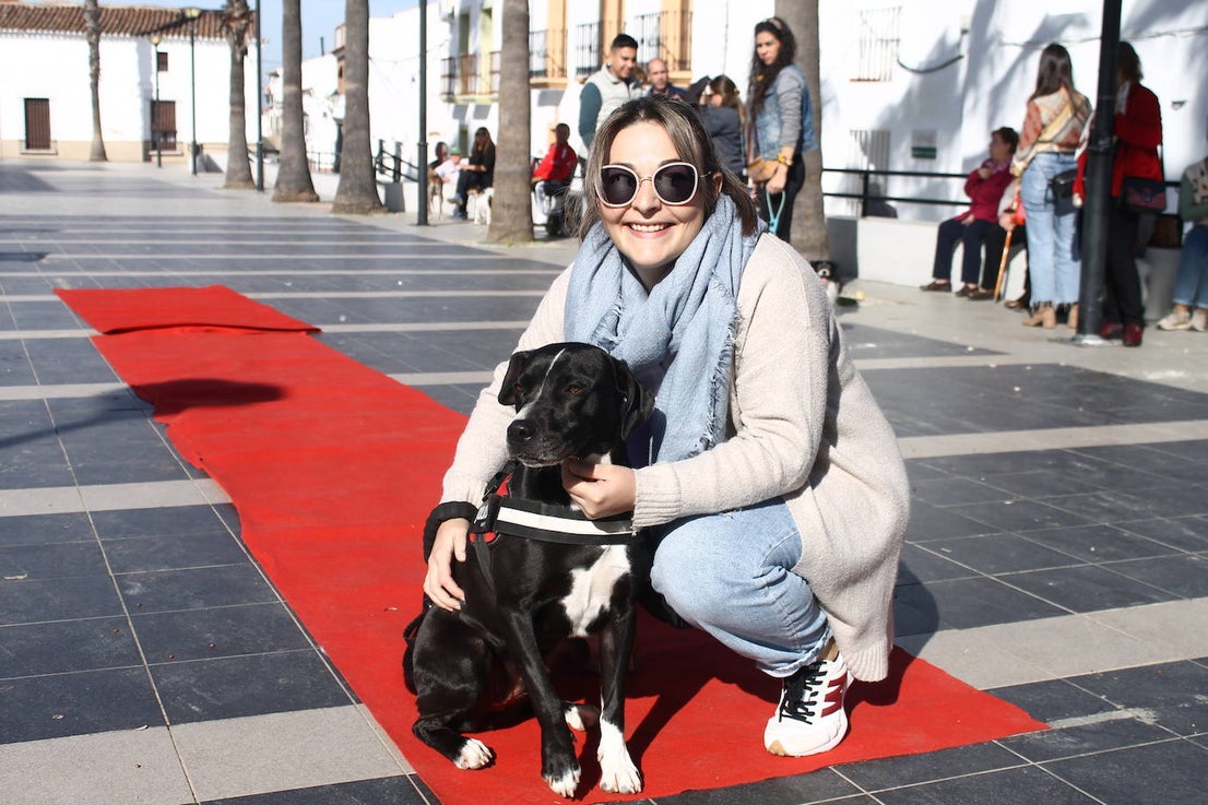 Fotos: III Desfile Canino