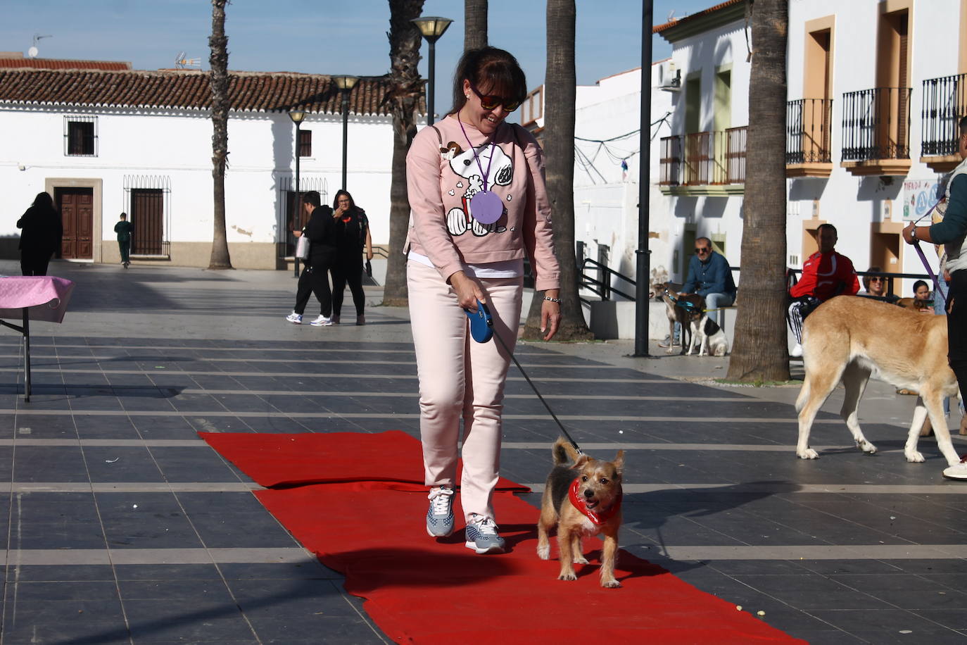 Fotos: III Desfile Canino